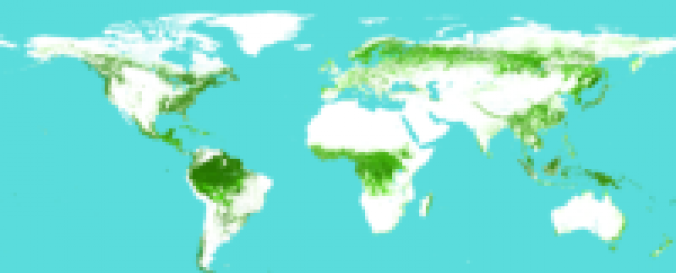 Global Vegetation (ISCGM) | UN-SPIDER Knowledge Portal